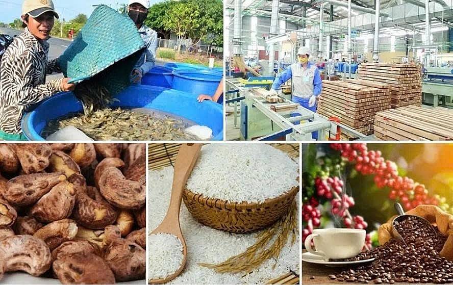 Xuất khẩu nông, lâm, thủy sản tăng tốc hướng tới mục tiêu 74 tỷ USD