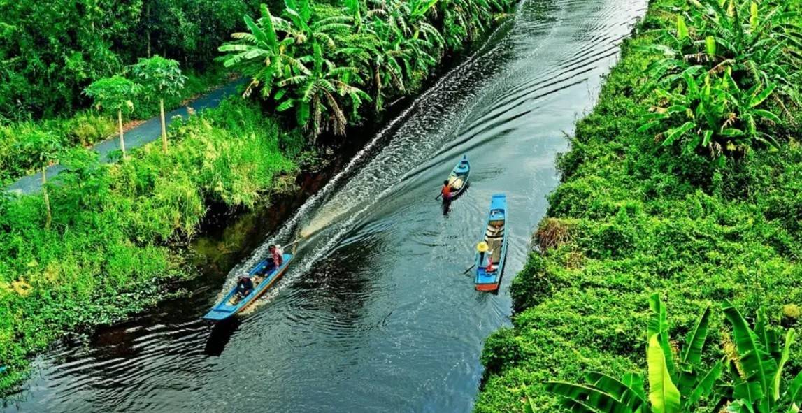 Vốn được mệnh danh là chốn “rừng vàng, biển bạc” với nhiều tài nguyên phong phú nên cũng không có gì quá ngạc nhiên khi Cà Mau sở hữu nhiều ưu thế để phát triển loại hình du lịch sinh thái. Trong ảnh: Vườn quốc gia U Minh Hạ - khu du lịch sinh thái nổi tiếng bậc nhất Cà Mau - (Ảnh: https://www.traveloka.com).
