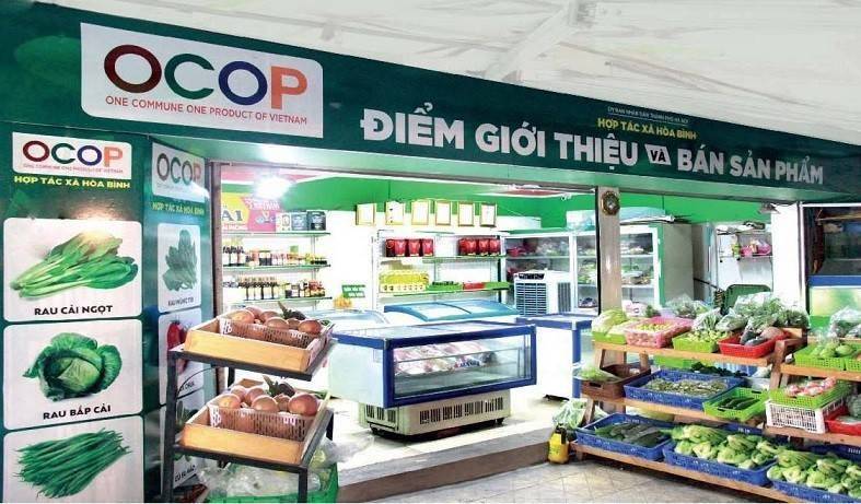 TP. Hồ Chí Minh xác lập đầu mối mới cho kinh tế tập thể