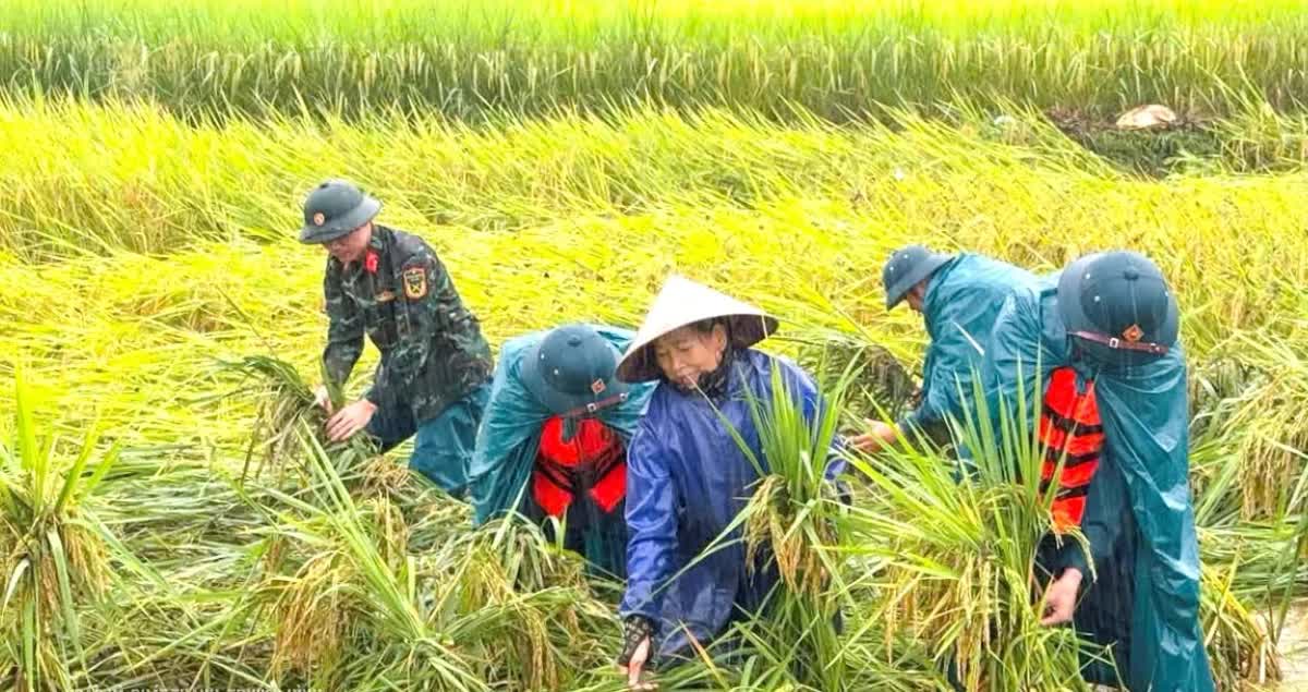 Thanh Hóa: Nước lũ dâng cao, sơ tán khẩn cấp 416 hộ/1.699 khẩu khỏi vùng nguy hiểm