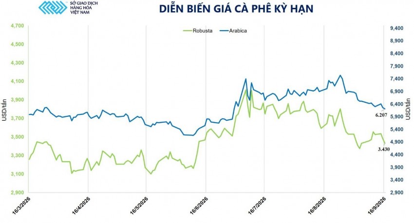 Giá cà phê lao dốc trước sức ép thặng dư nguồn cung