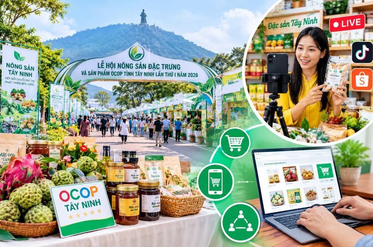 Tây Ninh tăng tốc kết nối nông sản, mở rộng đầu ra