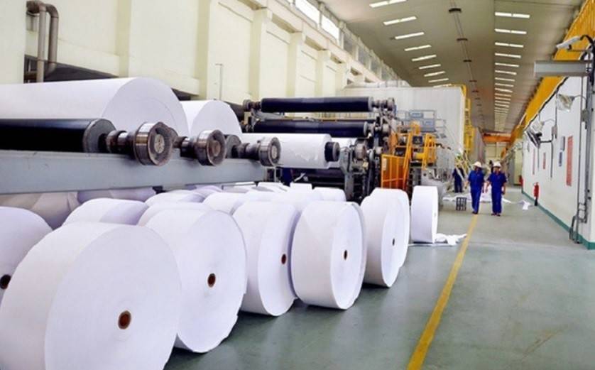 Công ty cổ phần Tập đoàn Tân Mai để gần 4.000ha đất bị lấn chiếm