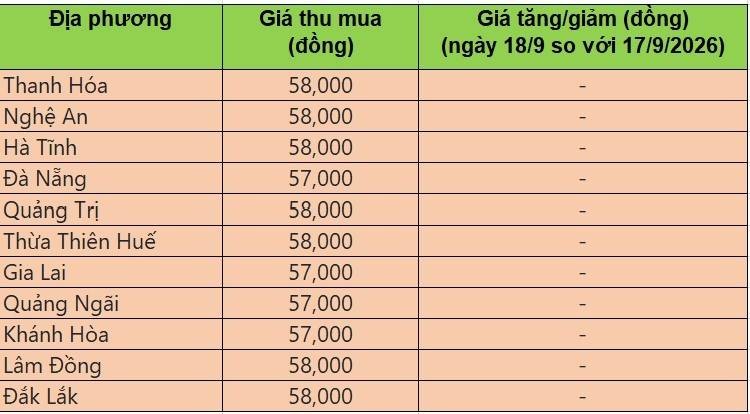 giá heo hơi