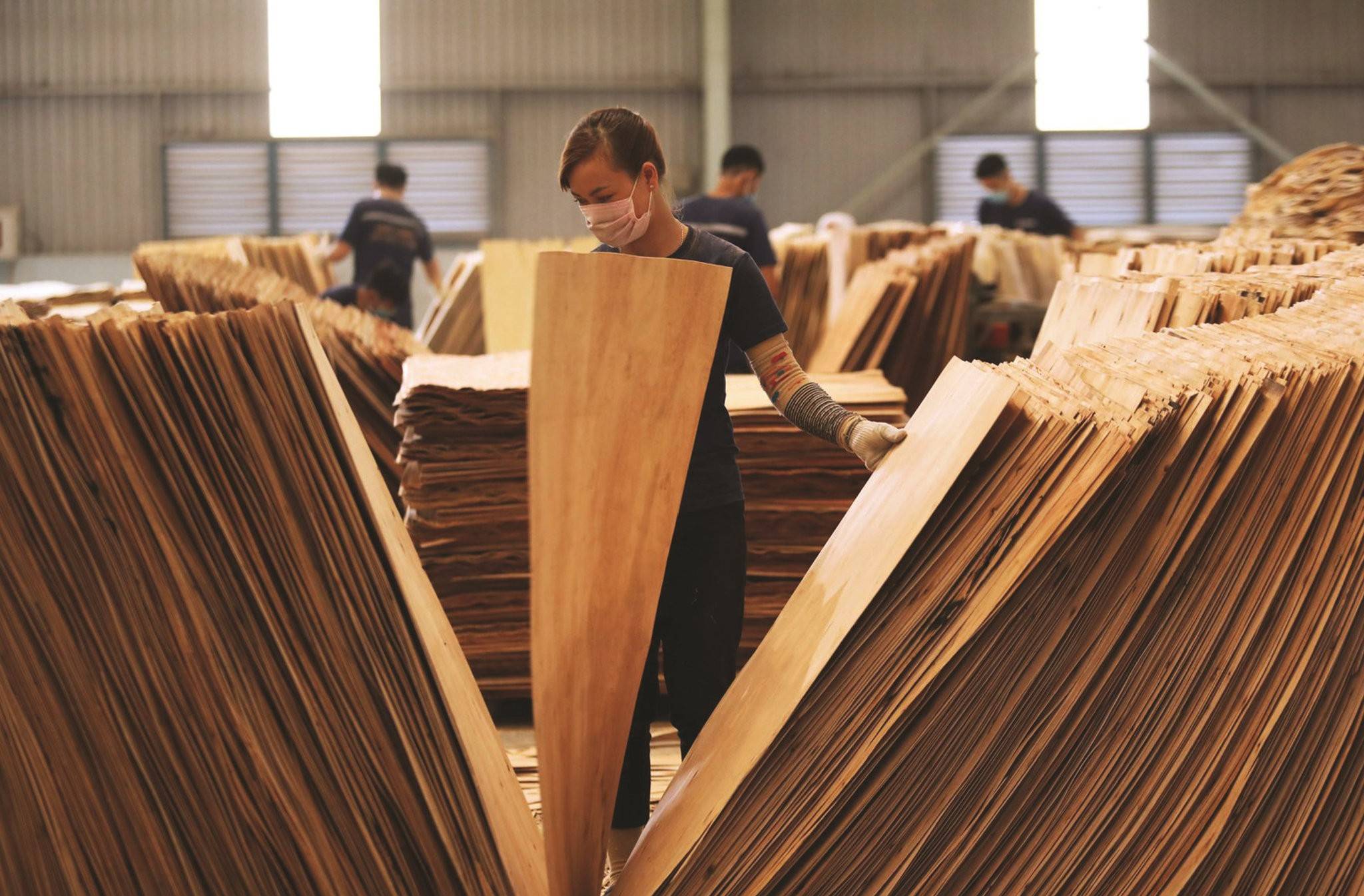 Xuất khẩu gỗ Việt Nam trong cuộc đua thương hiệu