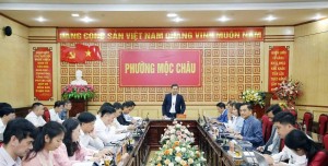Doanh nghiệp đề xuất loạt dự án đô thị, du lịch tại Mộc Châu