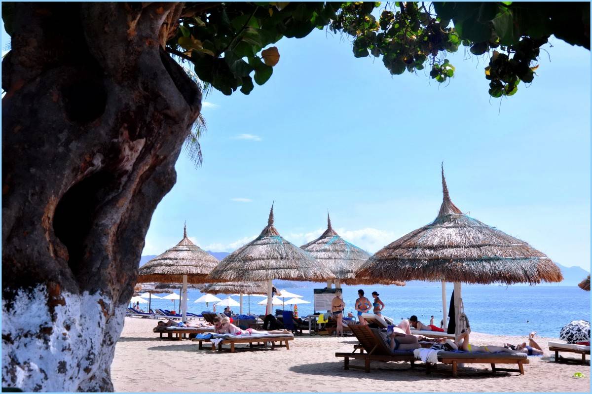 Khánh Hòa được đề cử tại World Travel Awards 2026
