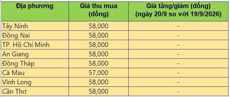 Bảng giá heo hơi tại miền Nam hôm nay 20/9/2026