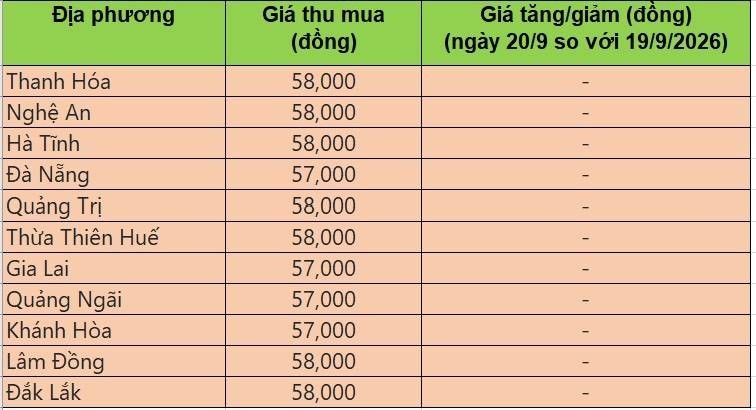 Bảng giá heo hơi tại miền Trung - Tây Nguyên hôm nay 20/9/2026