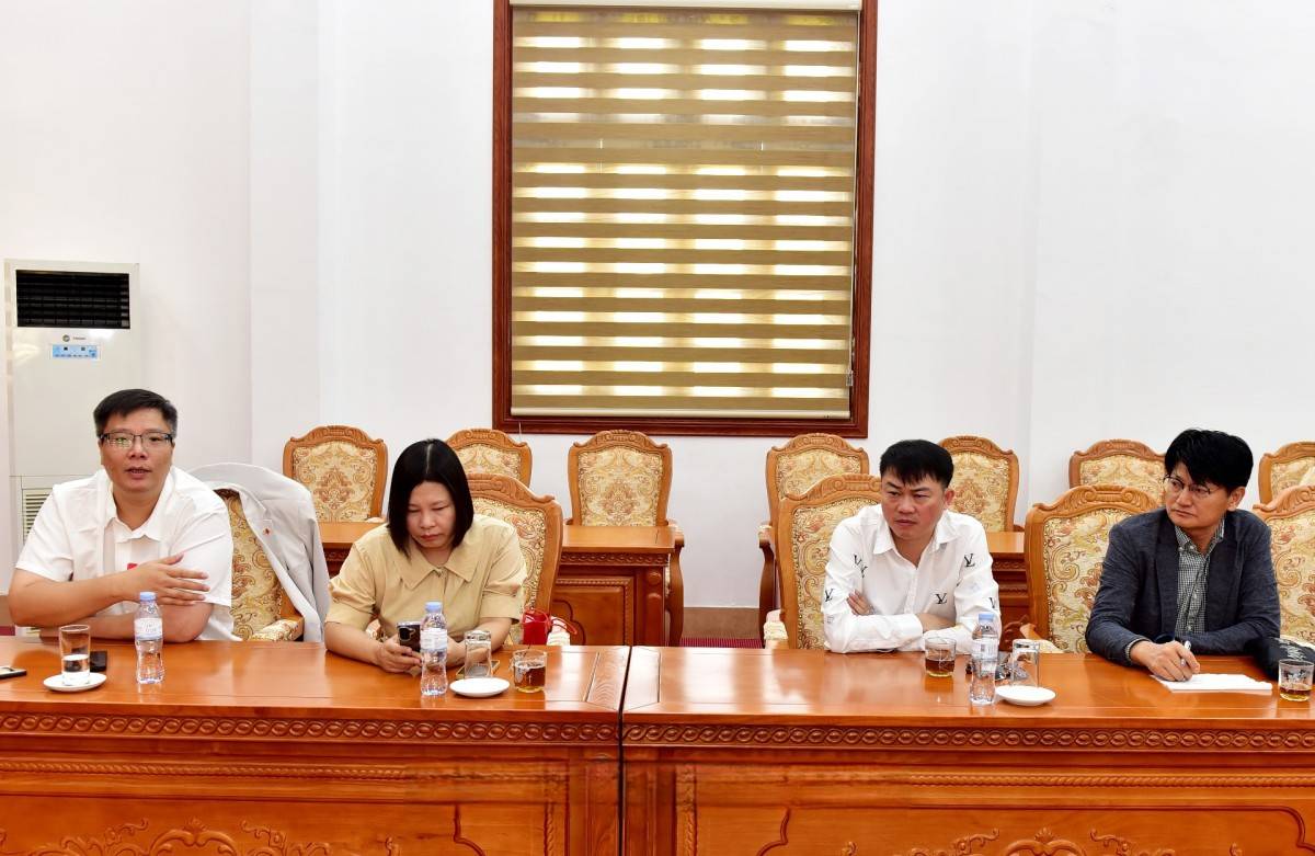 Sâm Lai Châu tìm hướng nâng giá trị qua hợp tác Việt Nam - Hàn Quốc