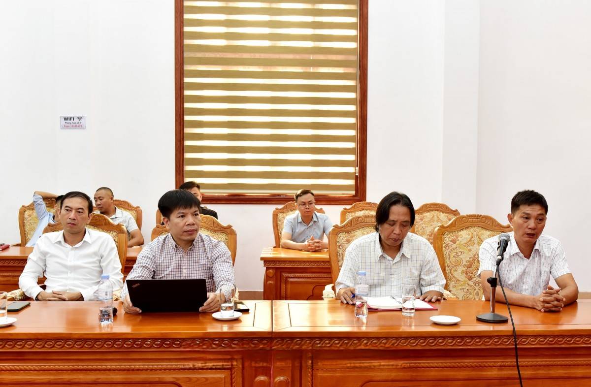 Sâm Lai Châu tìm hướng nâng giá trị qua hợp tác Việt Nam - Hàn Quốc