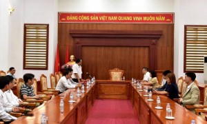 Sâm Lai Châu tìm hướng nâng giá trị qua hợp tác Việt Nam - Hàn Quốc
