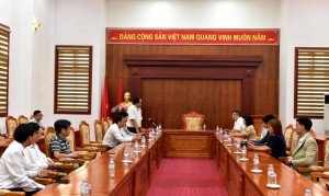 Sâm Lai Châu tìm hướng nâng giá trị qua hợp tác Việt Nam - Hàn Quốc