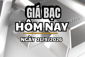 Giá bạc hôm nay 21/9 /2026: Giá bạc trong nước đồng loạt giảm, bạc thế giới đi ngang