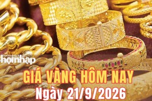 Giá vàng hôm nay 21/9/2026: Giá vàng thế giới giảm nhẹ, trong nước đi ngang