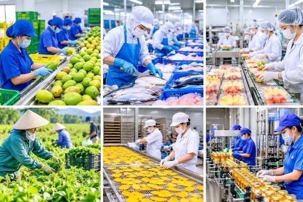 Doanh nghiệp xuất khẩu cần lưu ý loạt yêu cầu mới về an toàn thực phẩm, kiểm dịch