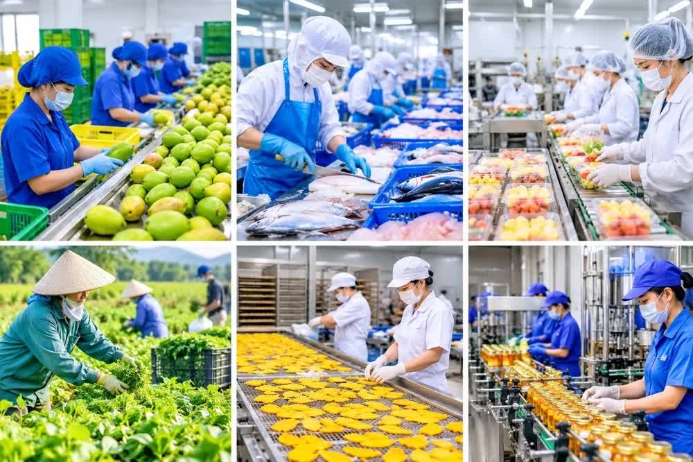 Doanh nghiệp xuất khẩu cần lưu ý loạt yêu cầu mới về an toàn thực phẩm, kiểm dịch