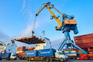 Viconship đang xoay xở dòng tiền ra sao?