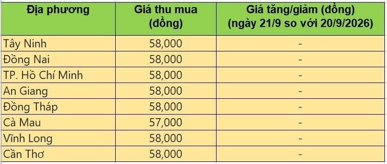 giá heo hơi