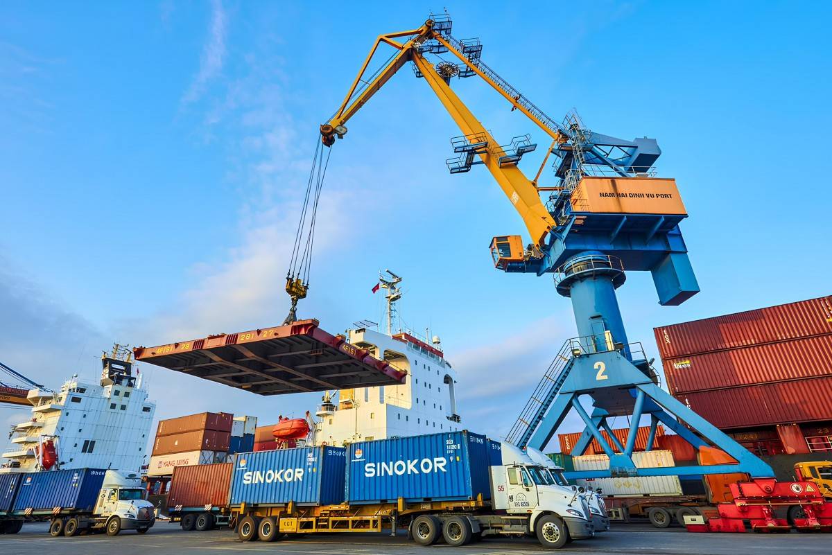 Viconship đang xoay xở dòng tiền ra sao?
