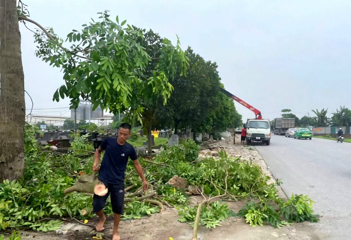 Phú Thọ: Cơ bản hoàn thành mặt bằng Quốc lộ 2 Vĩnh Yên - Việt Trì và cao tốc Hòa Bình - Mộc Châu