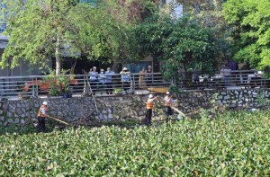 Thanh Hóa: Khẩn trương làm sạch môi trường, khôi phục sản xuất sau mưa lũ