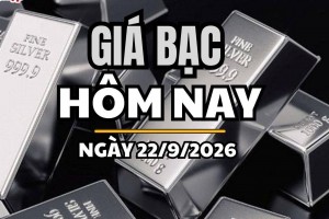 Giá bạc hôm nay 22/9 /2026: Giá bạc trong nước tăng giảm trái chiều, thế giới nhích tăng