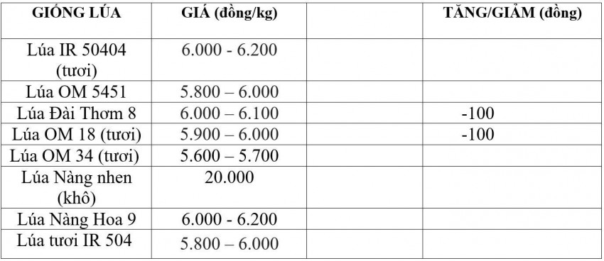 Giá lúa gạo hôm nay 21/9/2026: Giá gạo nguyên liệu giảm nhẹ