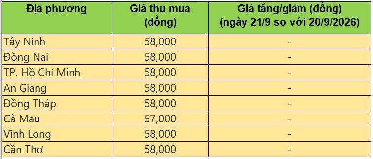 Bảng giá heo hơi tại miền Nam hôm nay 22/9/2026