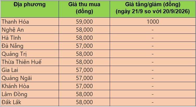 Bảng giá heo hơi tại miền Trung - Tây Nguyên hôm nay 22/9/2026