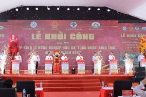Hà Tĩnh khởi công tổ hợp nông nghiệp tuần hoàn gần 1.300 tỷ đồng