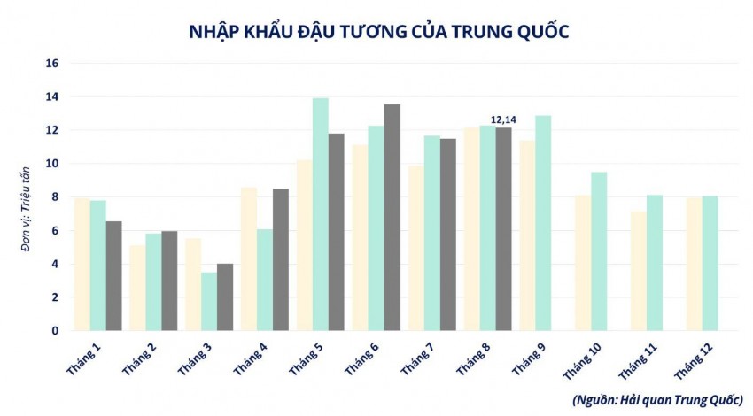 Thương mại Mỹ - Trung phát tín hiệu tích cực, giá đậu tương thế giới đồng loạt bứt phá