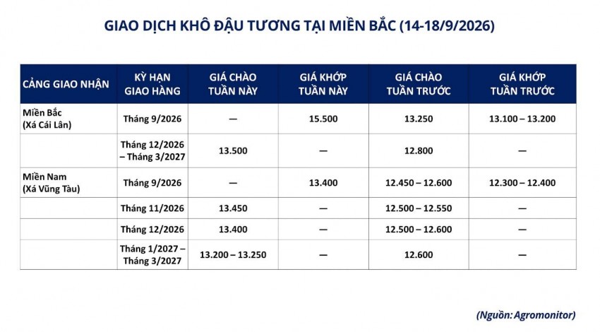 Thương mại Mỹ - Trung phát tín hiệu tích cực, giá đậu tương thế giới đồng loạt bứt phá