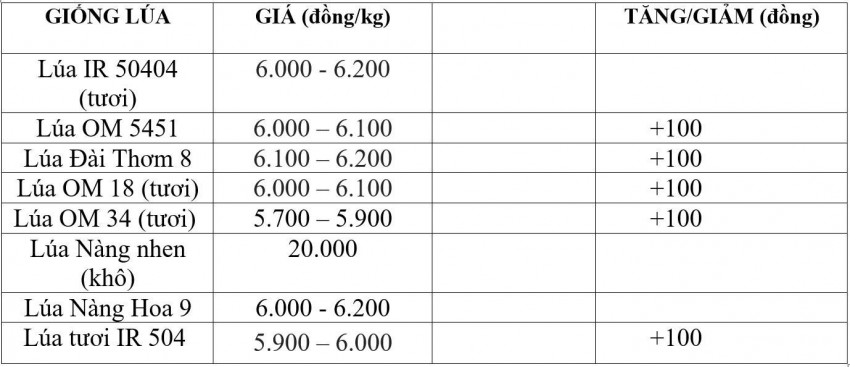 giá lúa gạo