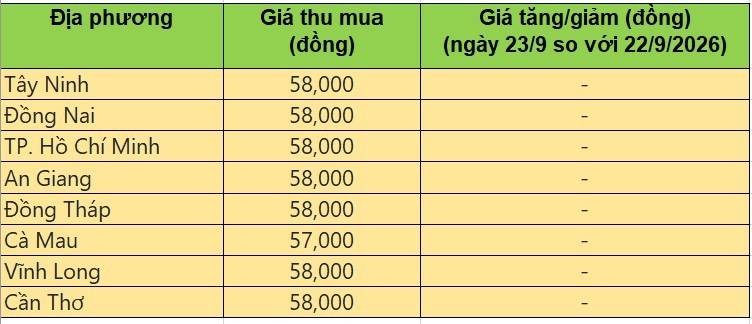 giá heo hơi