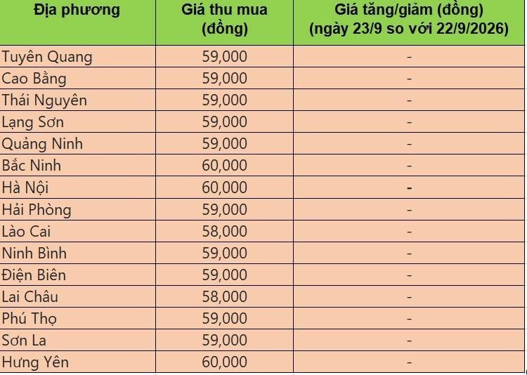 giá heo hơi