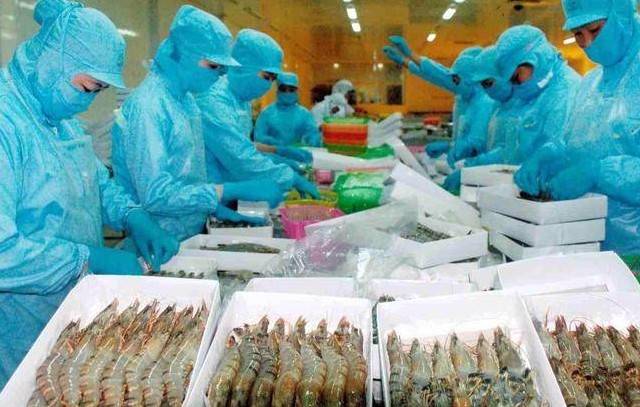 Xuất khẩu tôm 8 tháng 2026: Tăng trưởng chậm, áp lực cạnh tranh lớn