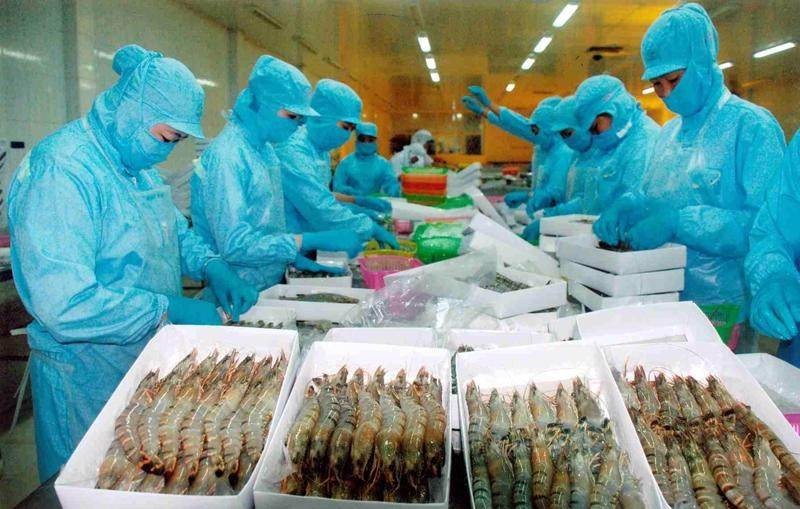Xuất khẩu tôm Việt Nam tăng 12% trong 8 tháng, nhưng đà tăng đang chậm lại.