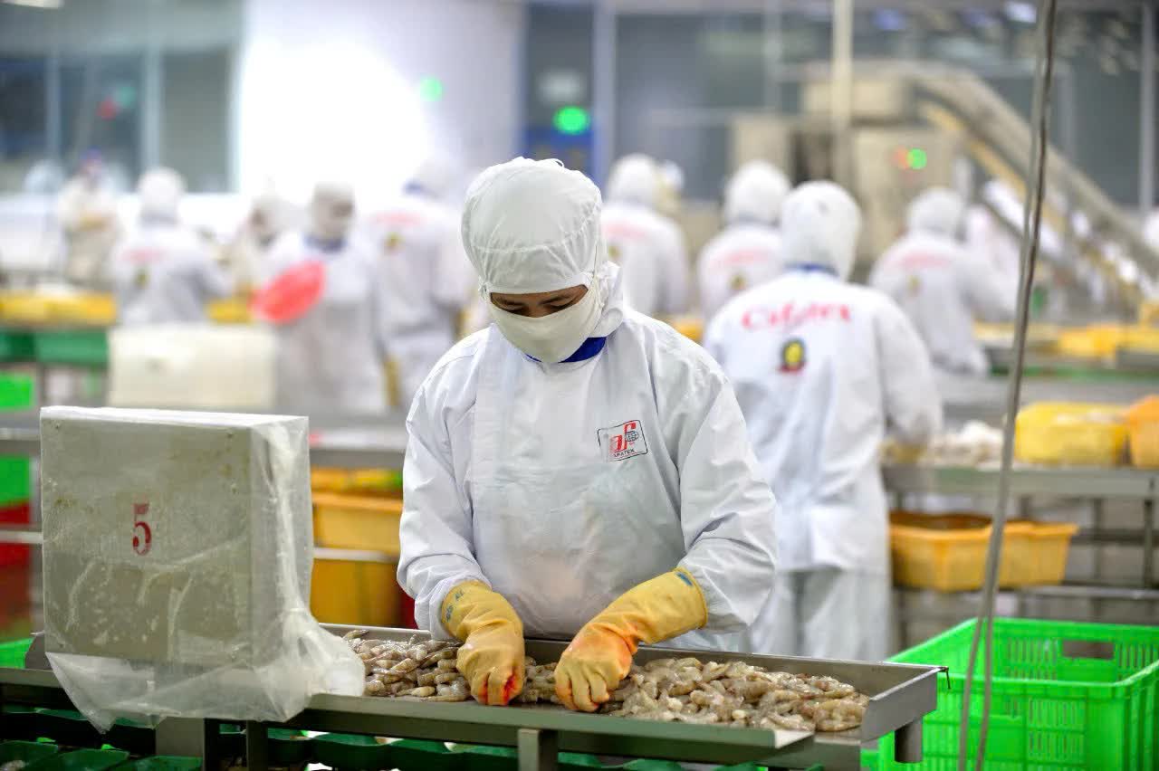 Xuất khẩu thủy sản vượt mốc 8 tỷ USD: Sức ép thuế và tiêu chuẩn xanh cùng gia tăng