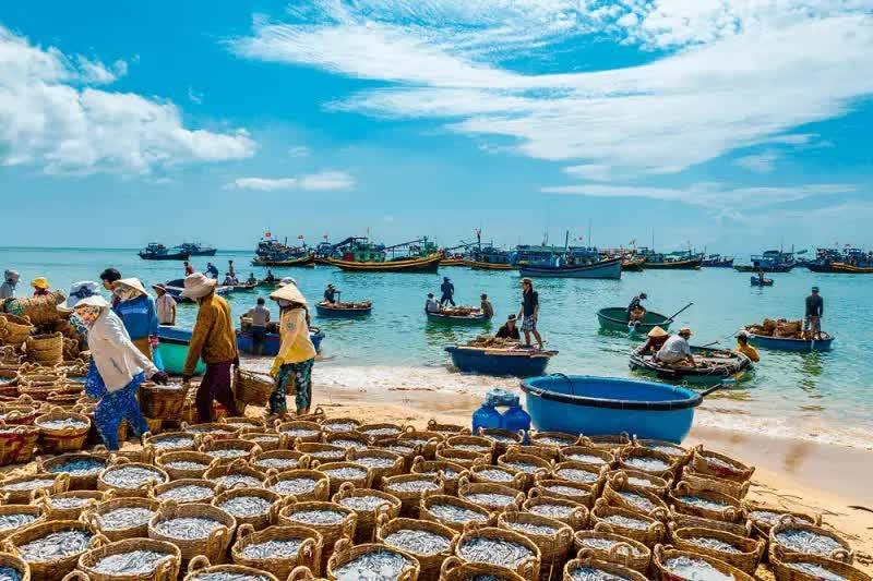 Lâm Đồng: Khi những điểm đến riêng lẻ cần được nối thành một hành trình