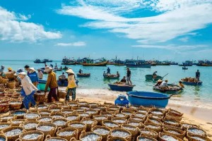 Lâm Đồng: Khi những điểm đến riêng lẻ cần được nối thành một hành trình