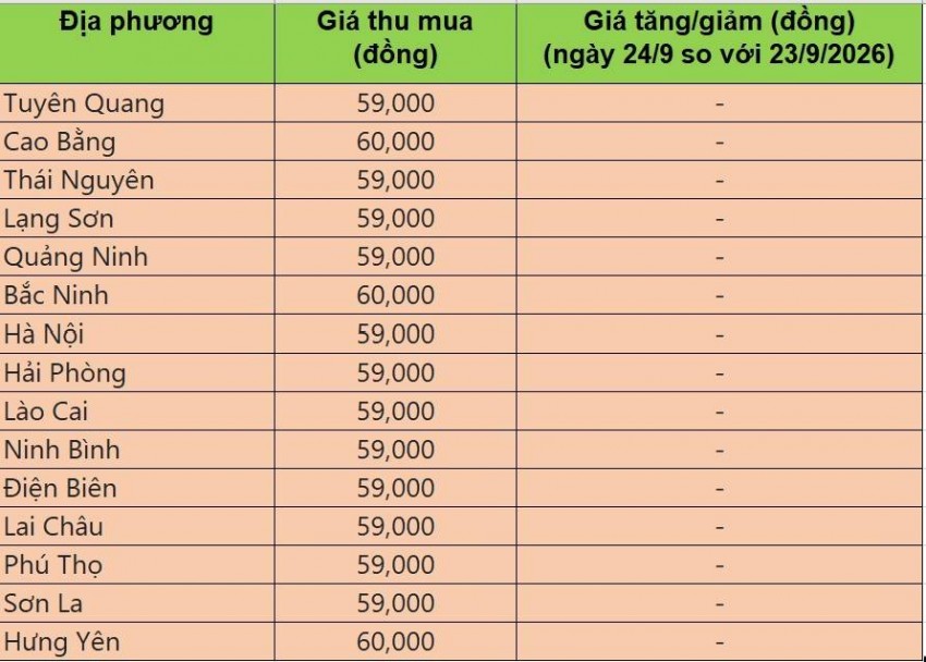 giá heo hơi