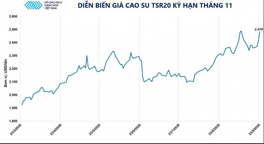 Giá cao su TSR20 bứt phá 2,7%, lập đỉnh tuần mới