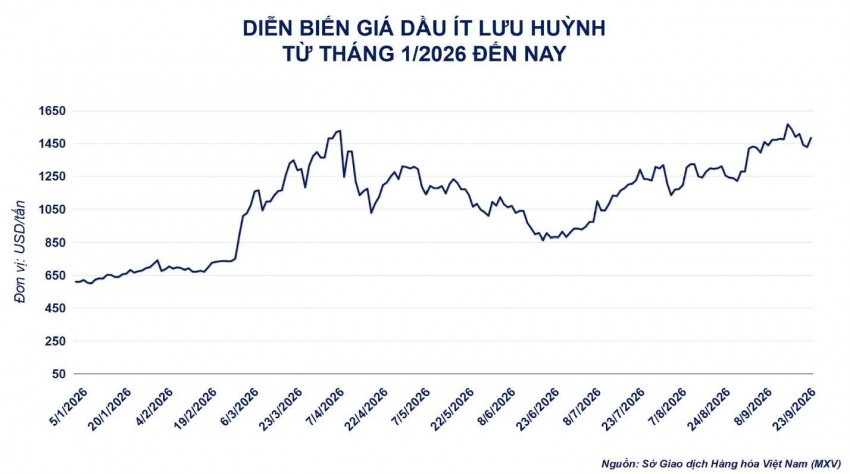 Áp lực nguồn cung 