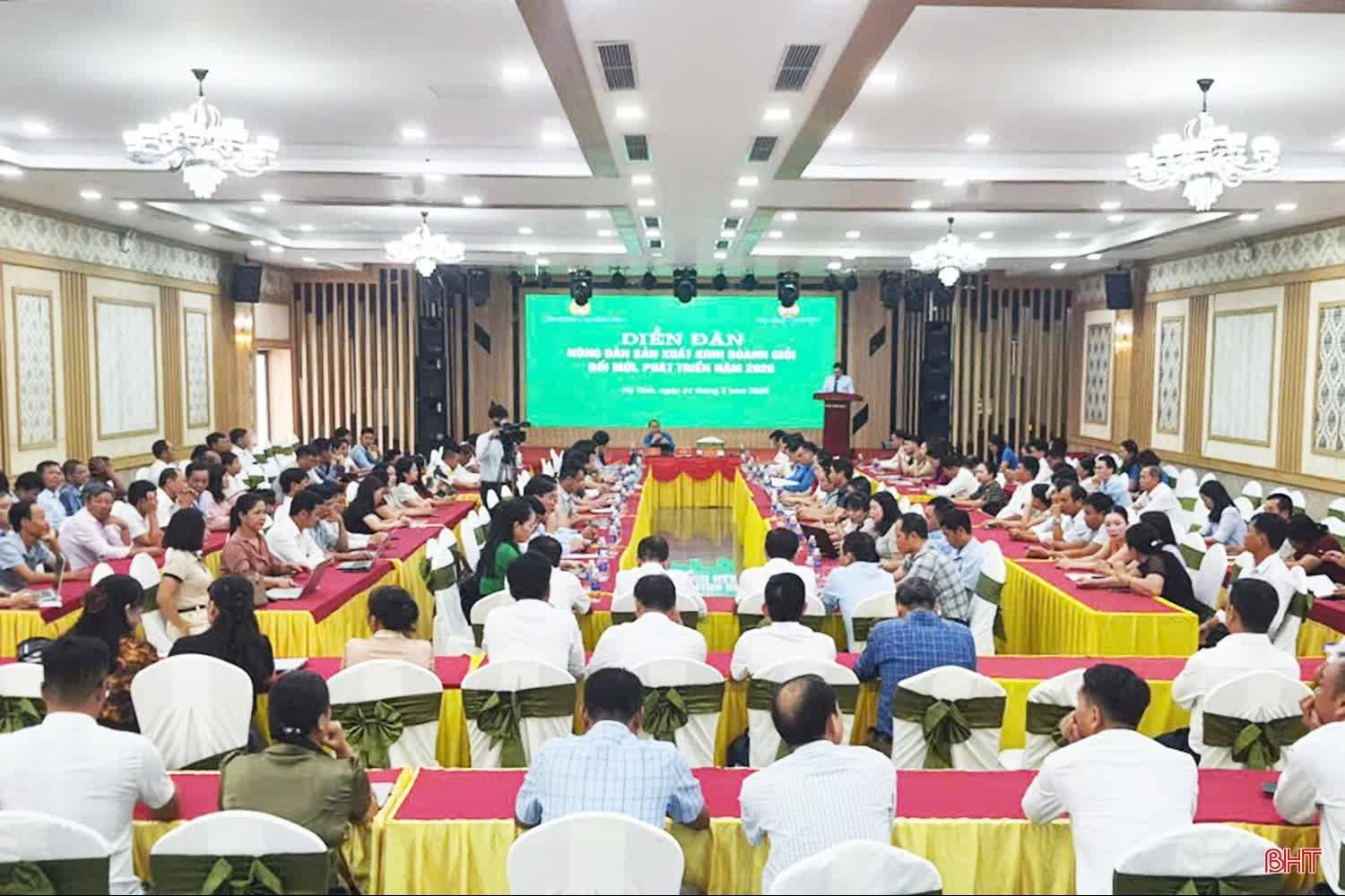 Hà Tĩnh: Nông dân sản xuất, kinh doanh giỏi tăng cường liên kết, mở rộng thị trường