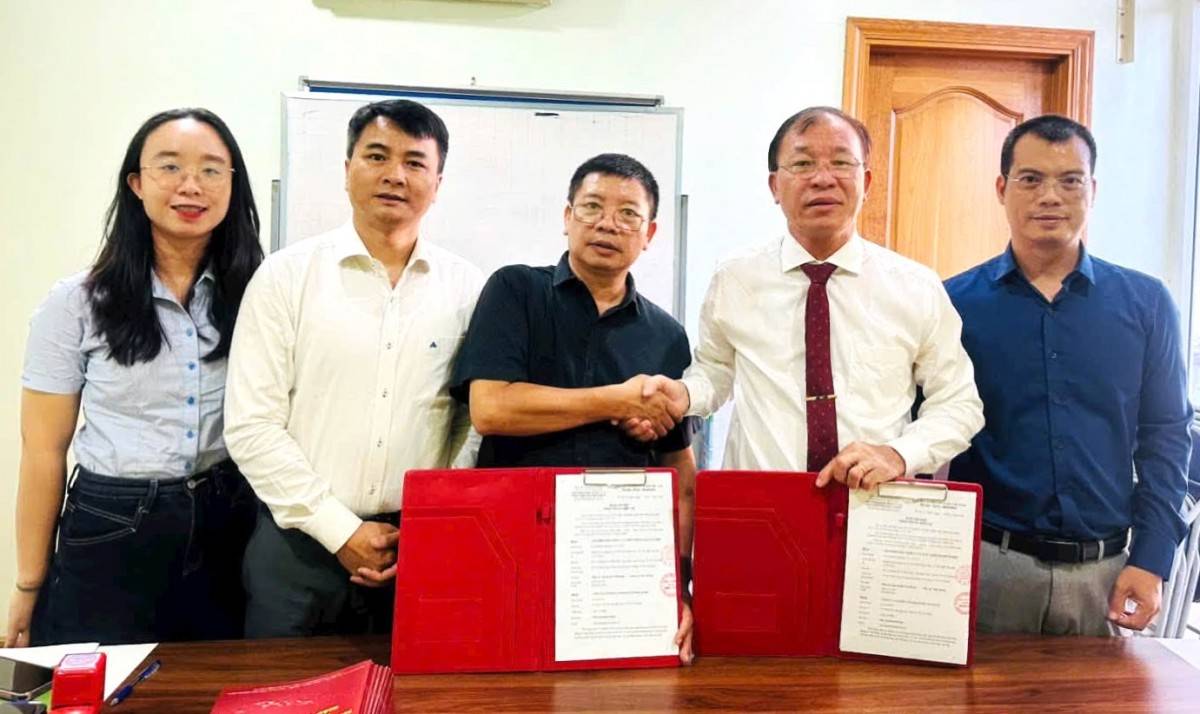 Viện ILC thúc đẩy kết nối hệ sinh thái, cùng doanh nghiệp chuyển đổi số