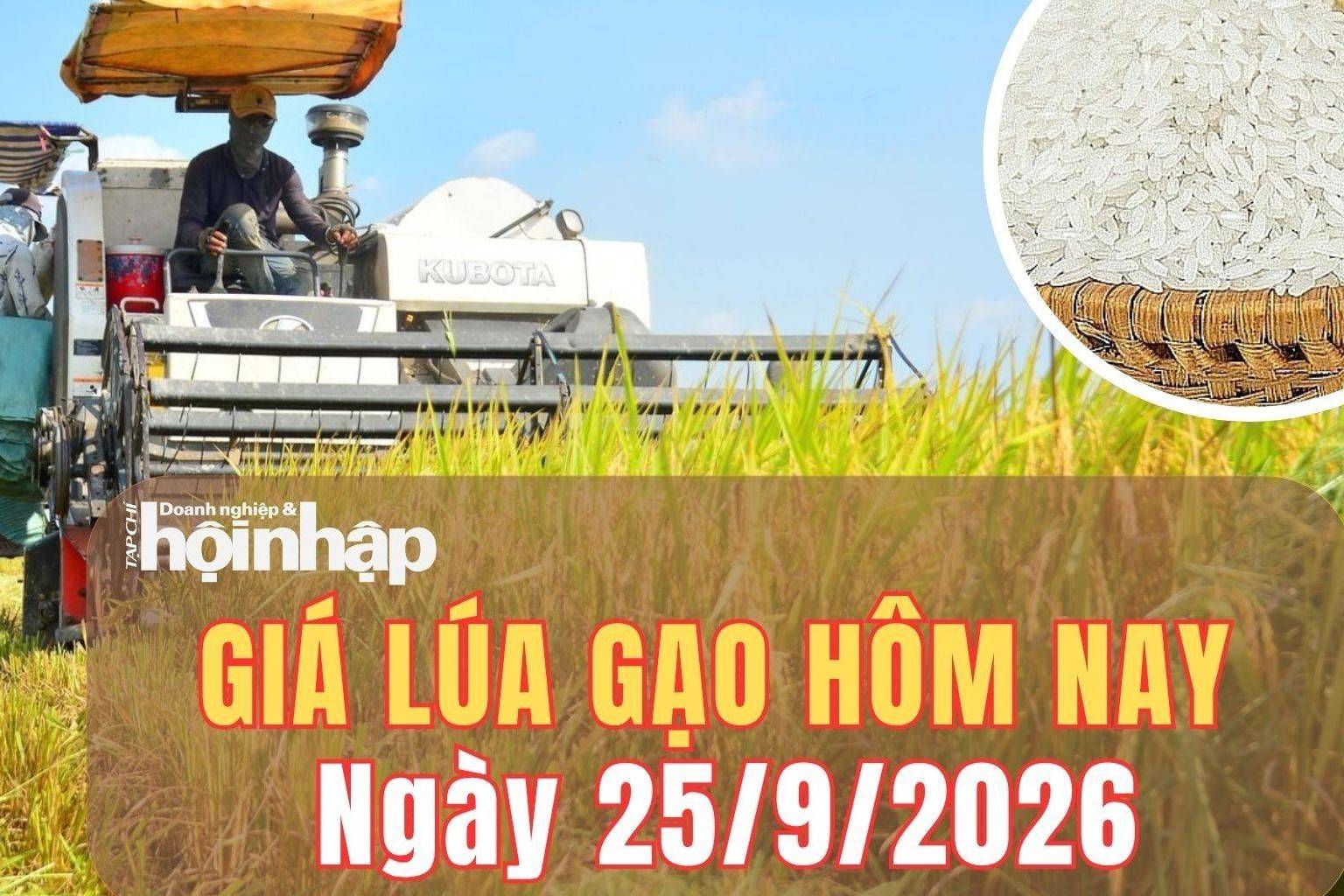 Giá lúa gạo hôm nay 25/9/2026: Giá lúa gạo đi ngang, phụ phẩm tăng nhẹ
