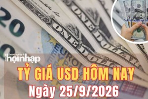 Tỷ giá USD hôm nay 25/9/2026: Đồng USD tăng lên đỉnh 2 tháng