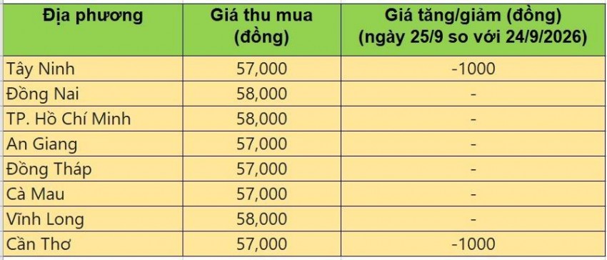 giá heo hơi