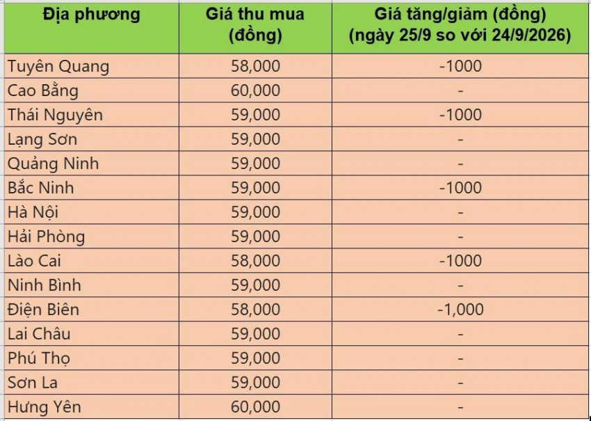 giá heo hơi